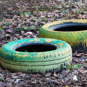 Владимирцы рассорились из-за сделанных из покрышек клумб