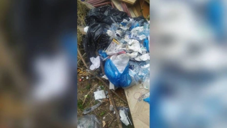 В Коврове нашли кладбище использованных шприцов и медпрепаратов