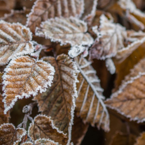 Московский синоптик пообещал владимирцам похолодание