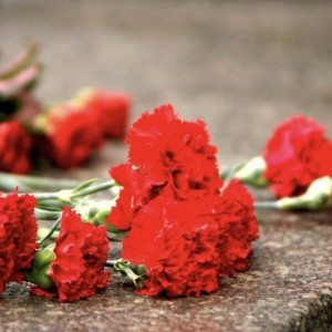 Во Владимирской области приспустили флаги после трагедии в «Крокусе»