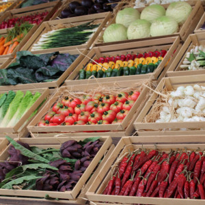 Во Владимире сделают «перезагрузку» Центрального рынка на Батурина