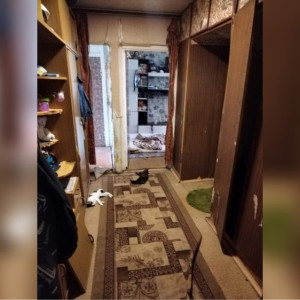 Погибли пять человек и кошки. Что известно об отравлении ядом в Юрьев-Польском районе