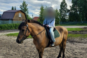 Владелицу конного центра в Киржаче оштрафовали за падение 10-летней девочки с лошади