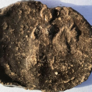 В Муроме нашли княжескую печать 13-го века