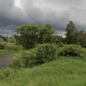 Большая часть Киржача осталась без света после ливня и грозы