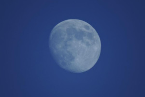 Жители Владимирской области смогут увидеть суперлуние 5 декабря