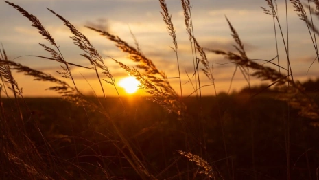 28 день Великого поста: что можно и нельзя 14 апреля