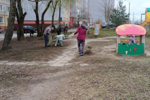 Во Владимире проходит общегородской субботник