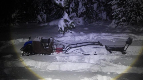 В Камешково браконьера оштрафовали за убийство двух лосей