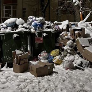 Владимирцы сравнили заваленные мусором дворы с помойкой