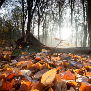 Во Владимирской области наступит последний теплый день