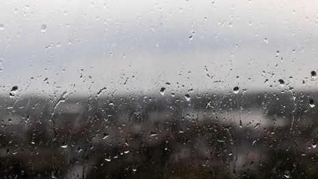 Синоптики пообещали похолодание и дожди во Владимирской области в выходные
