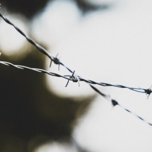 Алексей Навальный* перестал числиться во владимирской колонии