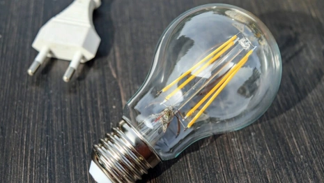 Более 20 деревень во Владимирской области остаются без света после урагана