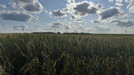 Во Владимирской области отменили пожароопасный сезон