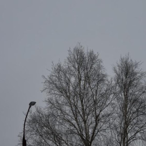 Во Владимире 4 марта завыли тревожные сирены