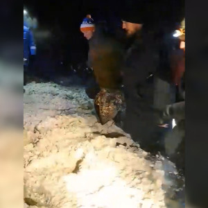 Появилось видео эвакуации 18-летнего студента из Владимира