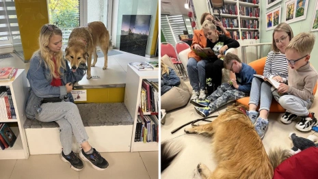 Во Владимире открыли «пушистую библиотеку»