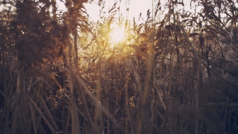 Во Владимирской области нашли 48-летнюю женщину спустя 3 недели
