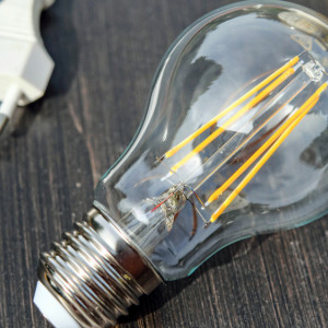 В Александровском районе 16 деревень останутся без света