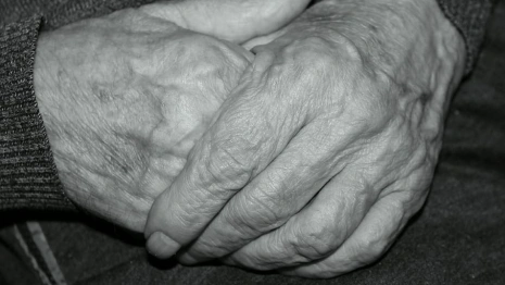 Пропавшего во Владимирской области в сентябре мужчину нашли мертвым