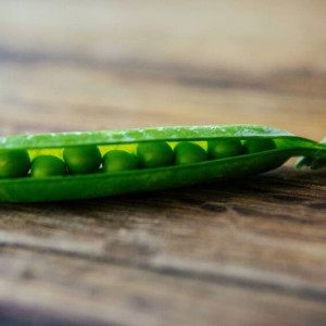 Федор-поминальник: что можно и нельзя делать 8 февраля