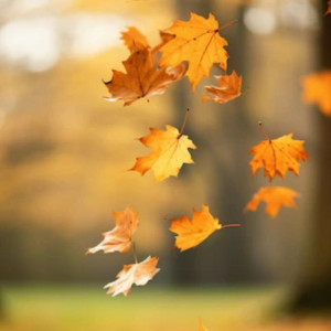 Прогноз погоды во Владимирской области на 16 сентября