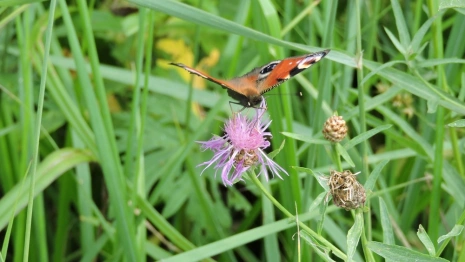 Похолодание во Владимирскую область принес гребень антициклона
