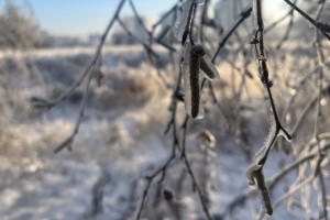 В выходные во Владимирской области сугробы вырастут до 31 см
