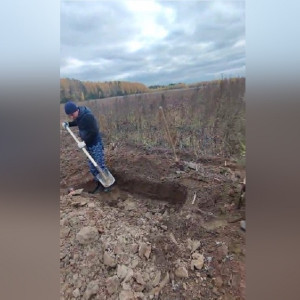 Во Владимирской области для погибшего на Украине парня вырыли могилу в поле