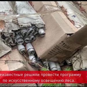 Во Владимирской области в лесу нашли свалку ртутных ламп