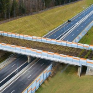 Во Владимирской области строительство экодука на М-12 вышло на финальную стадию