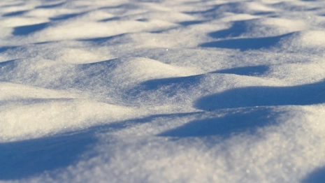 Во Владимирской области 87 управляющих компаний отказались чистить снег