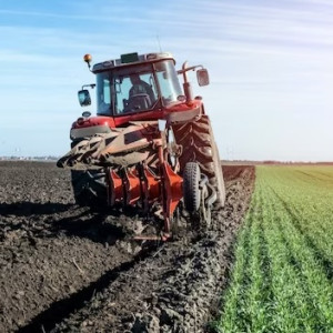 В Меленках сельхозработников заставили трудиться во вредных условиях