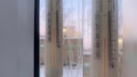 Термометры показали -28 градусов во Владимирской области