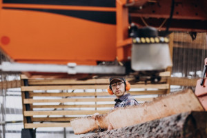 Бизнесмена из Владимира осудили за найм на работу 9 нелегальных мигрантов