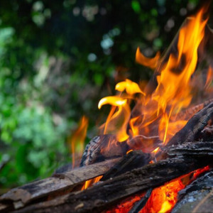 Во Владимирской области за сезон потушили 47 лесных пожаров
