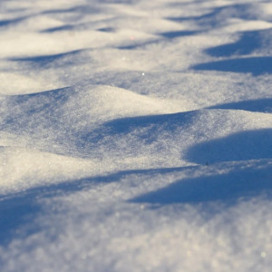 Во Владимирской области 87 управляющих компаний отказались чистить снег