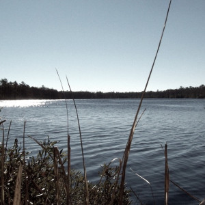 На озере во Владимире нашли труп человека