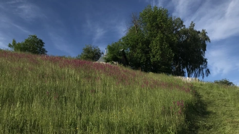 Жители владимирских деревень и сел своими силами собрали 5,3 млн рублей на благоустройство