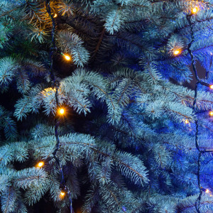 Декабрь во Владимирской области закончится снегопадами