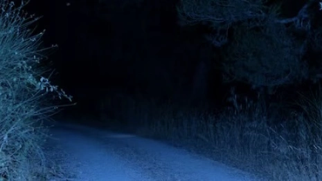 Пропавшего 22-летнего парня из Гусь-Хрустального нашли мертвым