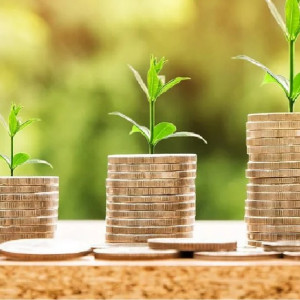 Возраст получения детских выплат во Владимирской области подняли до 23 лет