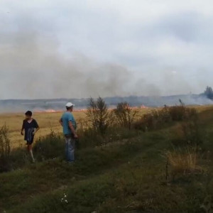 Крупный пожар в поле под Суздалем сняли на видео