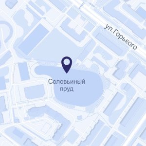 Во Владимире начали поиск проектировщика по благоустройству Соловьиного пруда