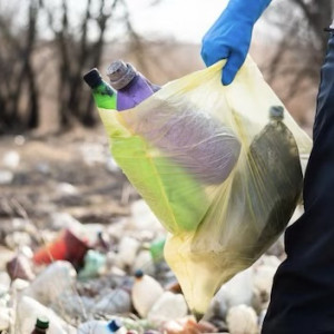 Гендиректор фирмы из Петушков присвоил миллион рублей при рекультивации свалки