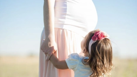 Во Владимирской области предложили выплачивать региональный маткапитал по новой схеме