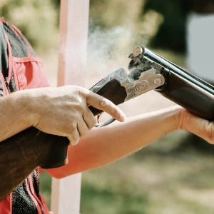 Житель Кольчугинского района незаконно застрелил лося