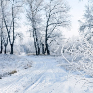 Прогноз погоды на 2 января во Владимирской области