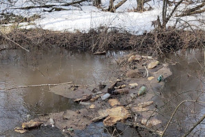 Жители поселка под Петушками пожаловались на ужасное состояние местных рек
